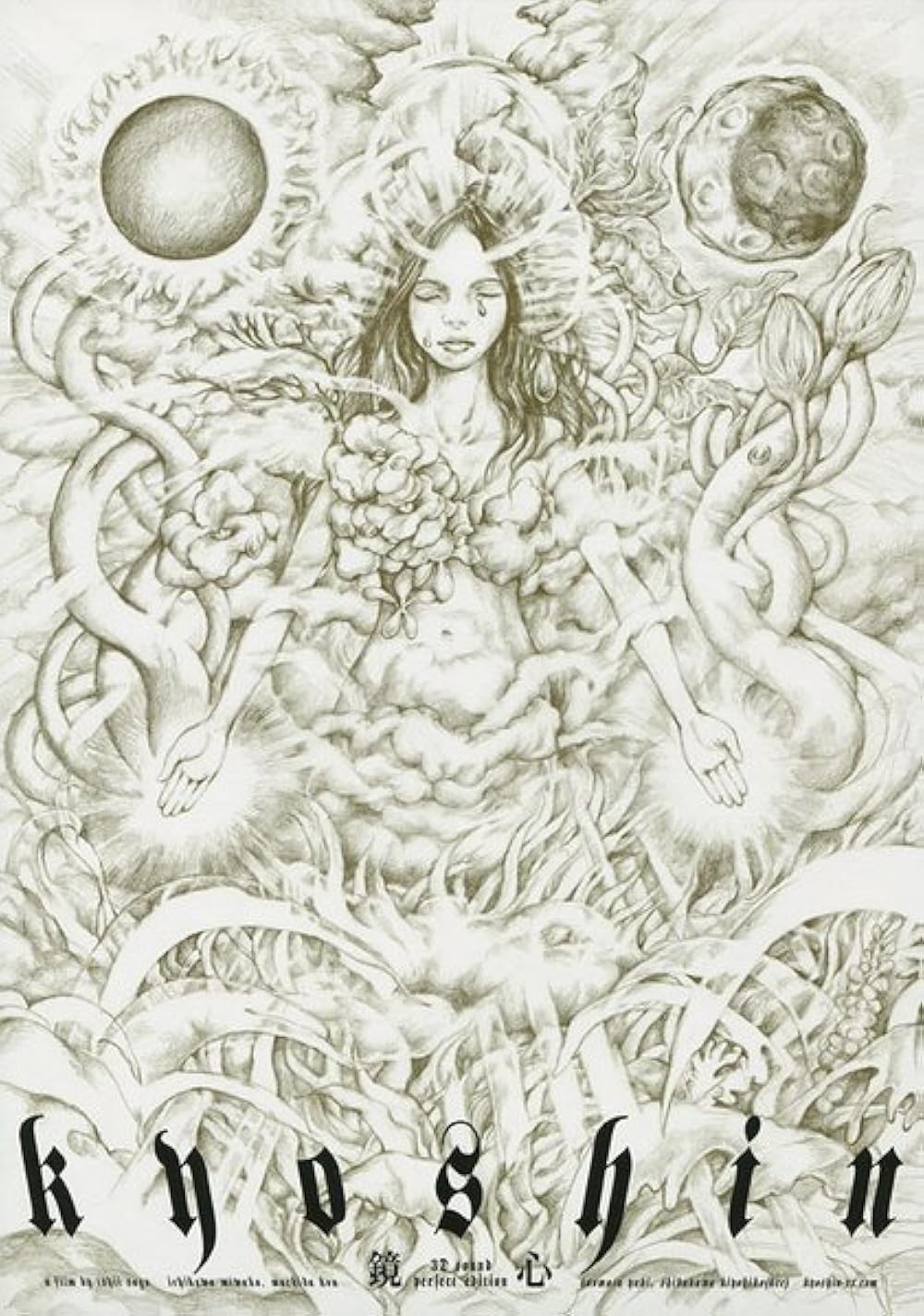 Poster do filme mirrored mind